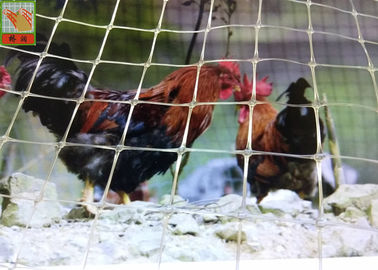 A cerca plástica clara personalizada das aves domésticas da galinha, aves domésticas plásticas cerca, a força de alta elasticidade, 1.5M alto