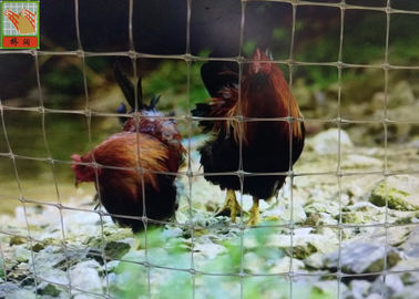 Rede plástica transparente das aves domésticas, rede plástica das aves domésticas, fio de galinha Mesh Fencing, rede da galinha de Tailândia